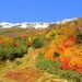20061015_tsugaiketrip_03
